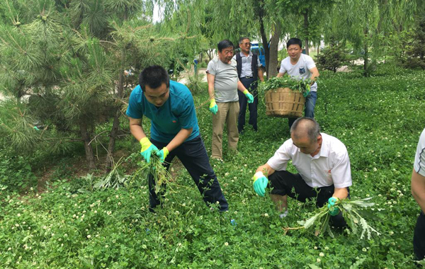 “保护环境,美化校园”清除杂草义务劳动